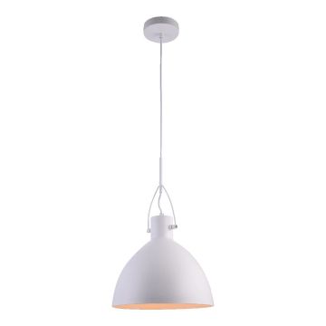 Prezent ANDROS II. 46301 Suspension lumineuse 1x40W/E27 IP20