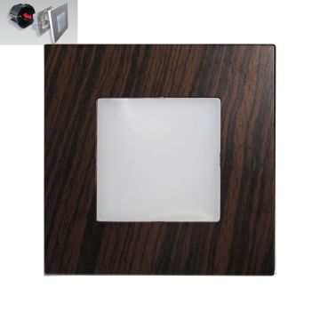 Prezent STEP LIGHT 48306 Lampe d'escalier encastrée 1x1W/LED 60lm IP20