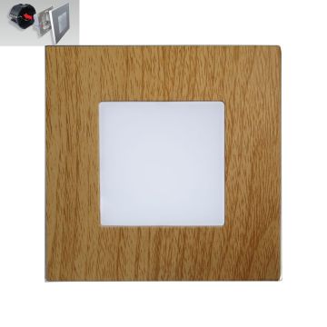 Prezent STEP LIGHT 48307 Lampe d'escalier encastrée 1x1W/LED 60lm IP20