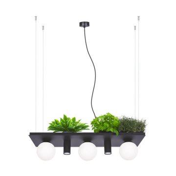 Zuma Line PLANT 5555 Suspension lumineuse 40W/3xE14|2xgu10 IP20