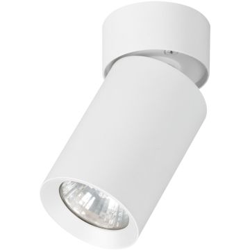 Alfa FLEX 59026 Spot en saillie 1x10W/GU10