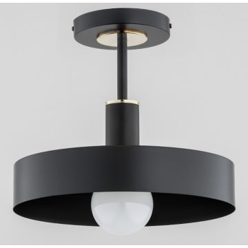 Alfa BERYT 60976 Lampe de plafond 1x60W/E27 IP20