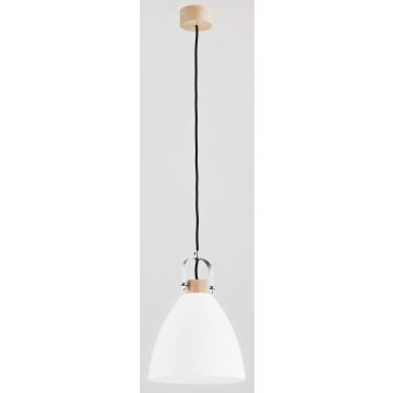 Alfa HERMINA 60365 Suspension lumineuse 1x60W/E27 IP20