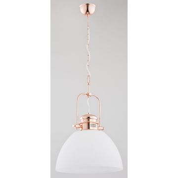 Alfa INEZ 60402 Suspension lumineuse 1x15W/E27