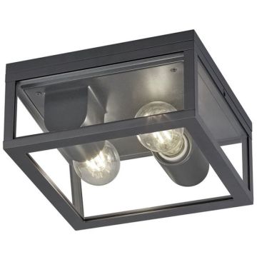 Trio GARONNE 601860242 Lampe de plafond 2x10w/e27 ip44