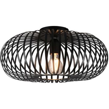 Trio JOHANN 606900132 Lampe de plafond 1x60w/e27 ip20