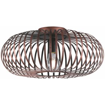Trio JOHANN 606900162 Lampe de plafond 1x60w/e27 ip20