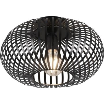 Trio JOHANN 606903032 Lampe de plafond 1x60w/e27 ip20
