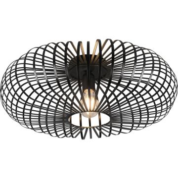 Trio JOHANN 606905032 Lampe de plafond 1x60w/e27 ip20