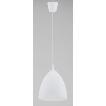 Alfa LERA 61326 Suspension lumineuse 1x15W/E27 IP20