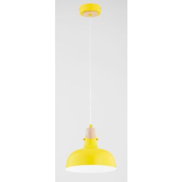 Alfa SOLO 61322 Suspension lumineuse 1x15W/E27 IP20