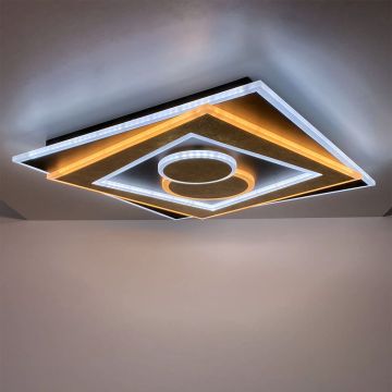 Fischer&Honsel Ratio 21425 Plafonnier 1x48W/LED 2700K 3800 lm IP20