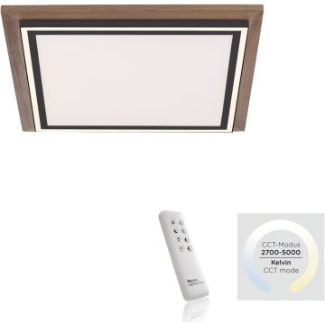Paul Neuhaus PALMA 6141-79 Lampe de plafond 2x50W/LED 2700-5000k 5100lm ip20