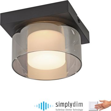 Paul Neuhaus RIKA 6162-18 Lampe de plafond 1x6W/LED 3000k 680lm ip20