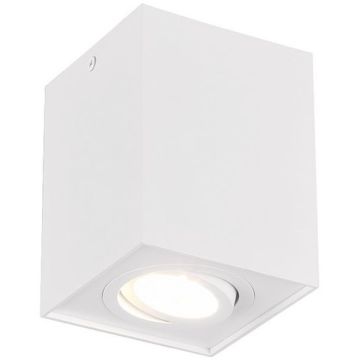 Trio BISCUIT 613000131 Spot en saillie 1x35w/gu10 ip20