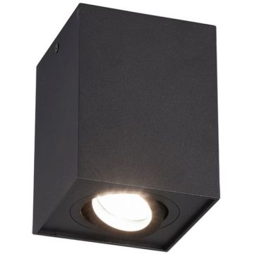 Trio BISCUIT 613000132 Spot en saillie 1x35w/gu10 ip20