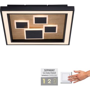 Paul Neuhaus ELIZA 6283-79 Lampe de plafond 1x55W/LED 3000k 5760lm ip20