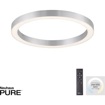 Paul Neuhaus PURE-LINES 6309-95 Lampe de plafond 1x30W/LED 2700-5000k 3300lm ip20