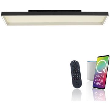 Paul Neuhaus Q-MAGONG 6317-18 Lampe de plafond 1x52W/LED 2700-5000k 5800lm ip20