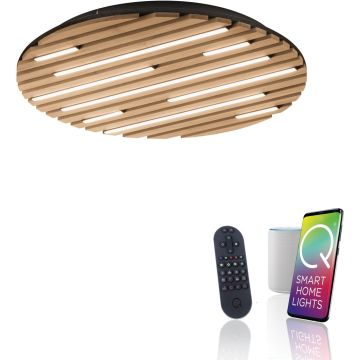 Paul Neuhaus Q-AKUSTIK 6421-79 Lampe de plafond 1x38W/LED 2700-5000k 3360lm ip20