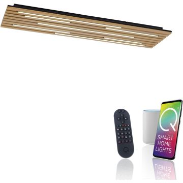 Paul Neuhaus Q-AKUSTIK 6422-79 Lampe de plafond 1x48W/LED 2700-5000k 4440lm ip20