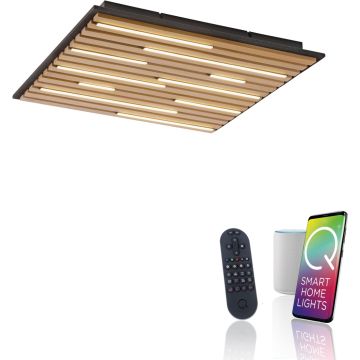 Paul Neuhaus Q-AKUSTIK 6423-79 Lampe de plafond 1x35W/LED 2700-5000k 3240lm ip20