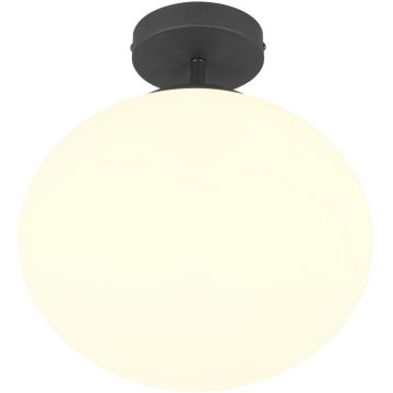 Trio FOMENTO 663100132 Lampe de plafond 1x15w/e27 ip20