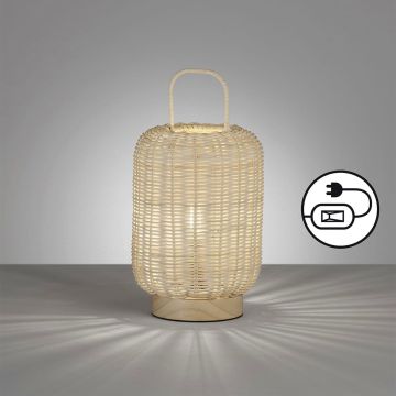 Fischer&Honsel Nature 50738 Lampe de table 1x25W/E14 IP20