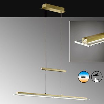 Fischer&Honsel Tenso TW 60562 Suspension 1x25W/LED 2700K 2800 lm IP20
