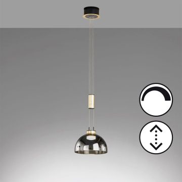 Fischer&Honsel Avignon 61013 Suspension 1x9W/LED 2700K 1000 lm IP20