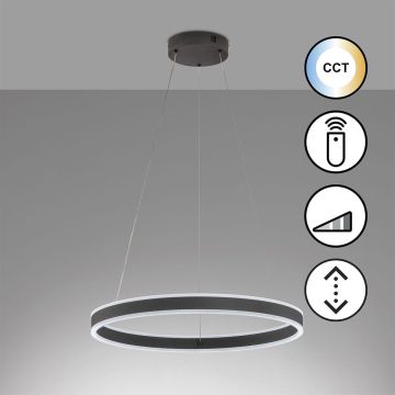 Fischer&Honsel Sirko 61048 Suspension 1x54W/LED 2700K 8500 lm IP20