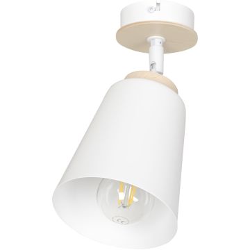 Emibig ATLAS 724/1 Spot 1x60W/E27 IP20