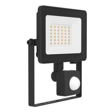 Eglo RISACCA-E 74016 Projecteur halogène 30W/LED 4000K 2800lm ip65