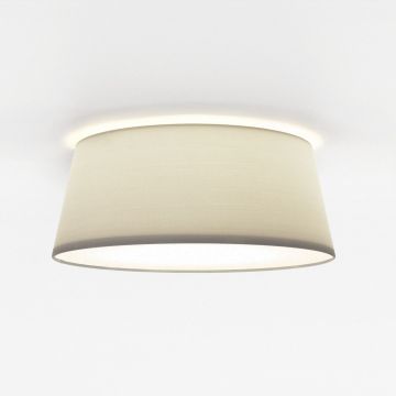 Astro Lighting FIFE 1471006 Plafonnier 1x12W/E27 IP20