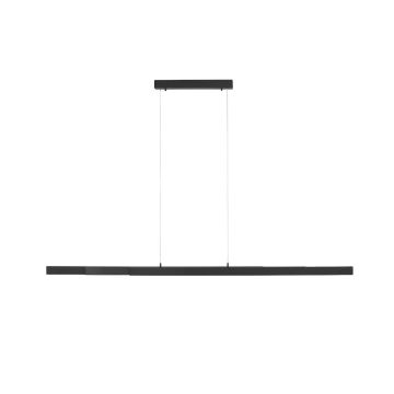 Paul Neuhaus LUZI 11660-13 Suspension lumineuse 3x13W/LED 3000K 1500LM IP20