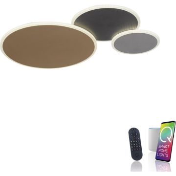 Paul Neuhaus Q-PIATO 8007-70 Lampe de plafond 3x40W/LED 2700-5000k 5100lm ip20