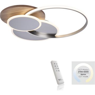 Paul Neuhaus PALMA 8328-79 Lampe de plafond 1x55W/LED 2700-5000k 6000lm ip20