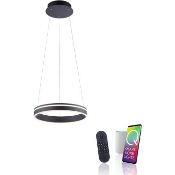 Paul Neuhaus Q-VITO 8410-13 Suspension lumineuse 1x33W/LED 2700-5000k 3250lm ip20