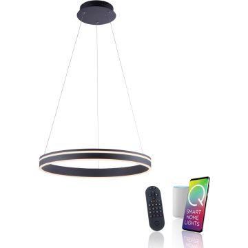 Paul Neuhaus Q-VITO 8411-13 Suspension lumineuse 1x44W/LED 2700-5000k 4550lm ip20