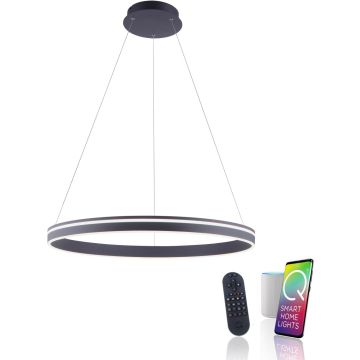 Paul Neuhaus Q-VITO 8412-13 Suspension lumineuse 1x65W/LED 2700-5000k 7000lm ip20