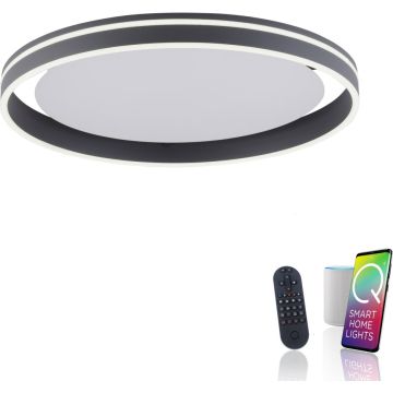 Paul Neuhaus Q-VITO 8416-13 Lampe de plafond 1x44W/LED 2700-5000k 4570lm ip20
