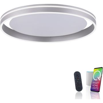 Paul Neuhaus Q-VITO 8416-55 Lampe de plafond 1x44W/LED 2700-5000k 4570lm ip20