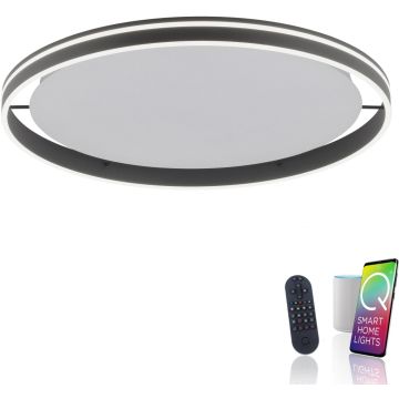Paul Neuhaus Q-VITO 8418-13 Lampe de plafond 1x65W/LED 2700-5000k 7000lm ip20