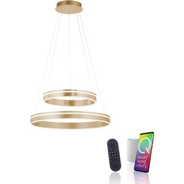 Paul Neuhaus Q-VITO 8420-60 Suspension lumineuse 2x65W/LED 2700-5000k 7300lm ip20