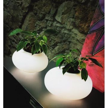 AZzardo FLORA AZ0185 Lampe de table 3x60W/E27 IP20