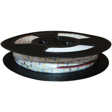 Eko-Light EKPL521 Ruban LED 9,6W/m/LED 3000K IP20