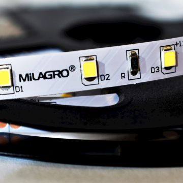 Milagro LED STRIP ML4747 Ruban LED 24W/500cm IP20