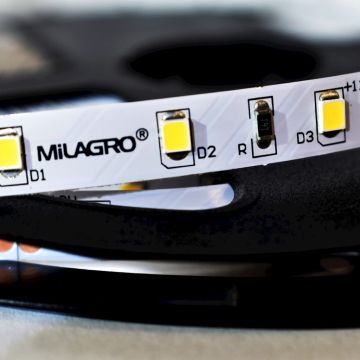 Milagro LED STRIP ML4748 Ruban LED 24W/500cm IP20