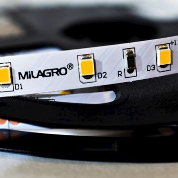 Milagro LED STRIP ML4749 Ruban LED 24W/500cm IP20