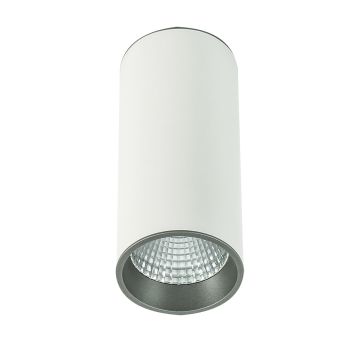 Italux MOLDES SLC7392/12W 4000K WH+GR Spot en saillie 1x12W/LED 820LM IP20